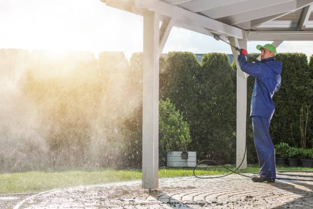 Best House Exterior Washing  in Thorsby, AL